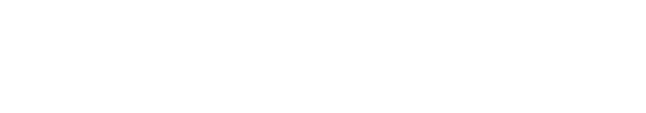 Pluriproject RE Logo